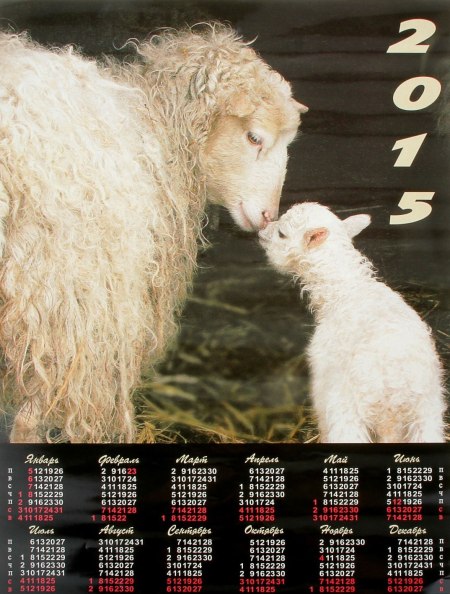 2015 года барана. Год козы 2015. Календарь 2015 год козы. Год козы овцы. Календарь год овцы.